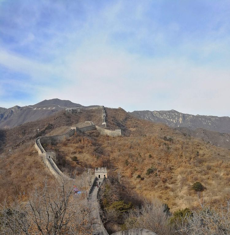 About Tinker-Thinker