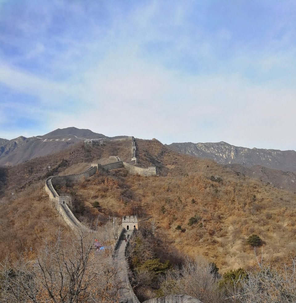 About Tinker-Thinker